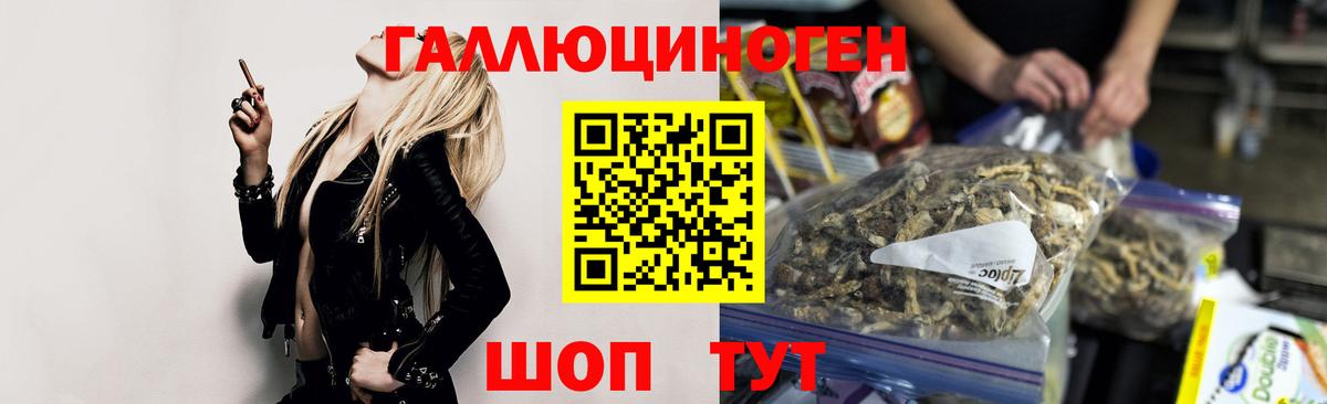 Псилоцибиновые грибы мицелий  Вход с VPN  Нижнеудинск 
